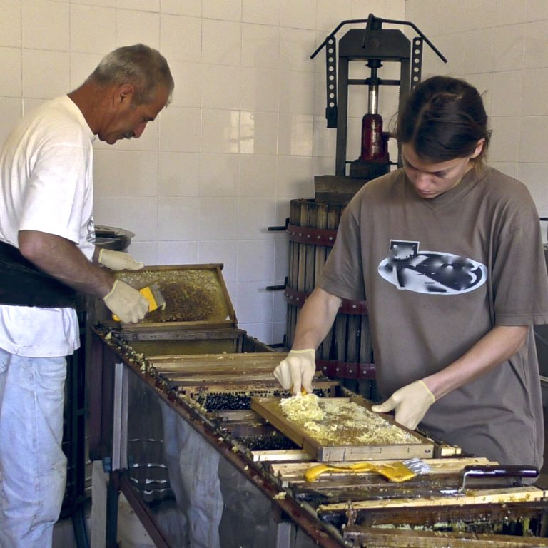 bester Bienenhonig mit Liebe gewonnen